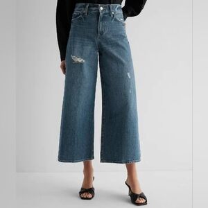 Express Blue Flare Wide Leg Jeans